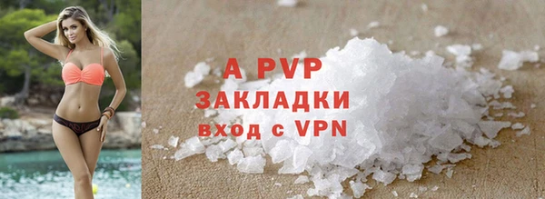 стафф Новосибирск