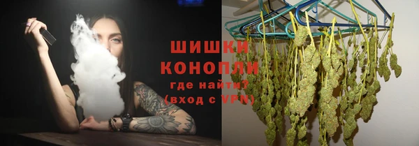 стафф Новосибирск