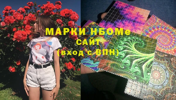 стафф Новосибирск