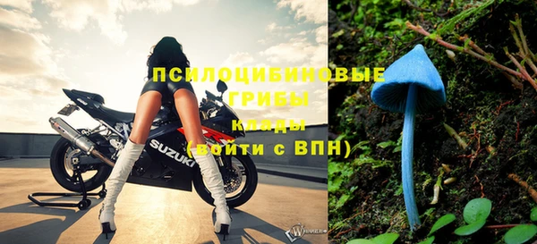 стафф Новосибирск