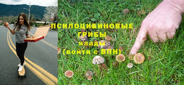 стафф Новосибирск
