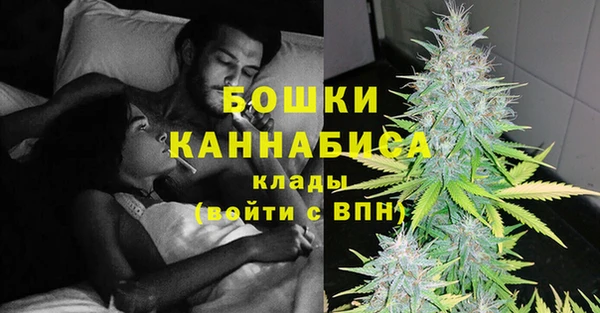 твердый Калининец
