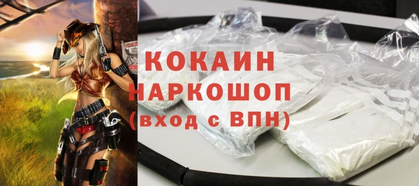 ГАЛЛЮЦИНОГЕННЫЕ ГРИБЫ Фёдоровский