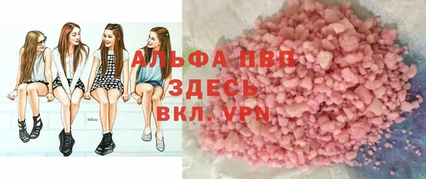 стафф Новосибирск
