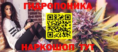 бошки Волгодонск