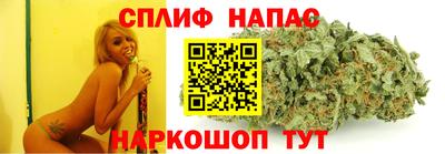 стафф Берёзовский