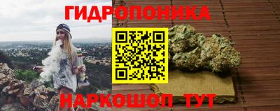 ГАЛЛЮЦИНОГЕННЫЕ ГРИБЫ Бийск