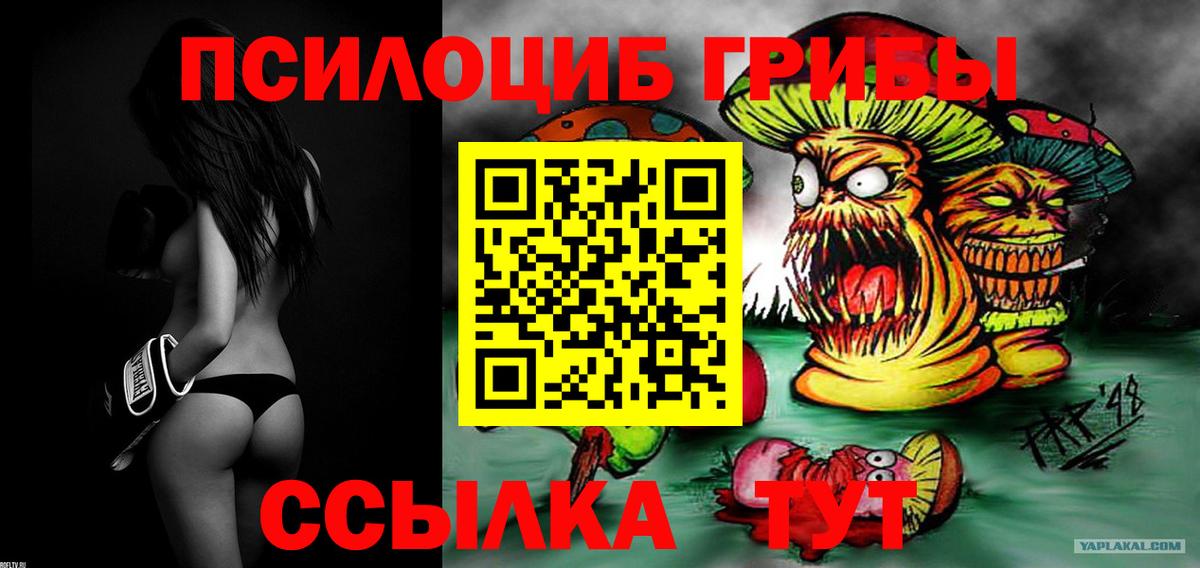 Галлюциногенные грибы MAGIC MUSHROOMS Коркино