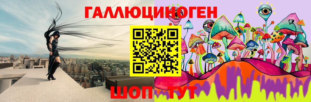 Галлюциногенные грибы Psilocybe  Вход с VPN  Коркино 