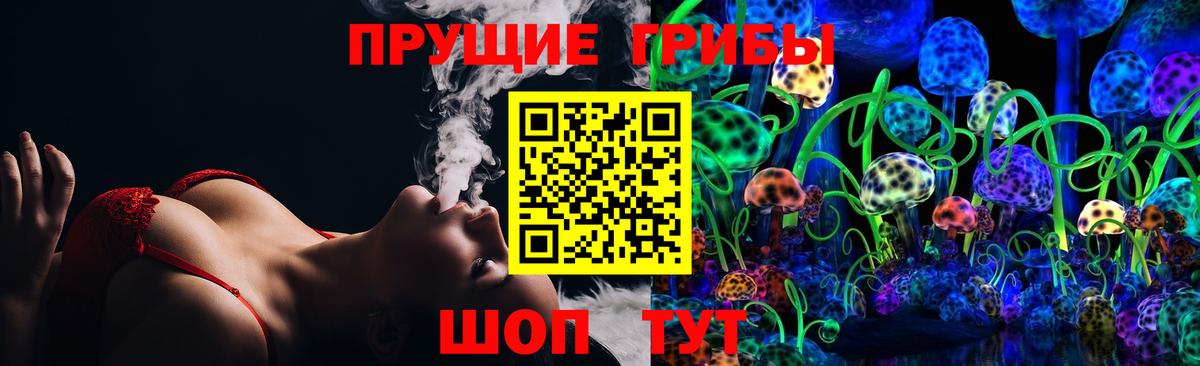 Псилоцибиновые грибы GOLDEN TEACHER Коркино