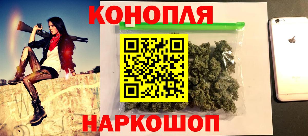 Конопля сатива Коркино
